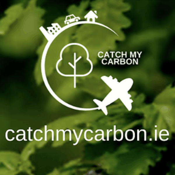 Offset your CO2 - Reforest Ireland